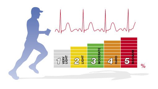 Training in Heart Rate Zones - Onward Online